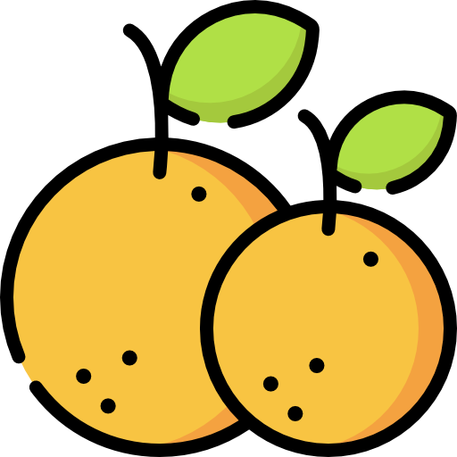 icon cam